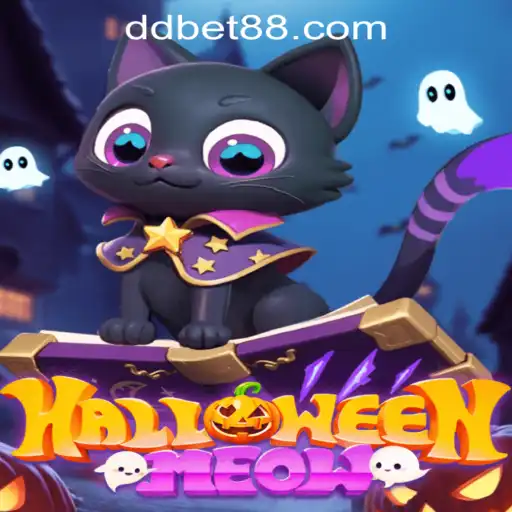 Unleashing the Spooky Fun: Dive into HalloweenMeow and the DDBET Adventure